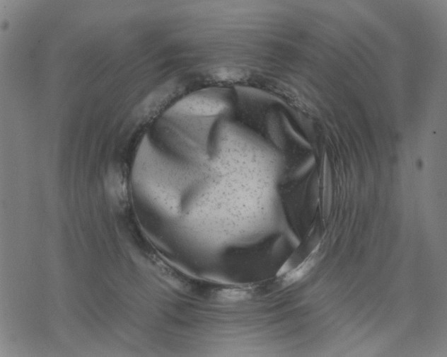 X0000074230176200609081630