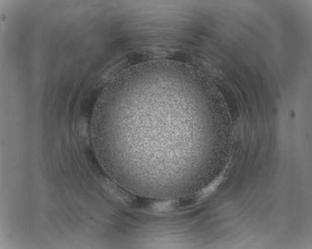 X0000074230178200609081630