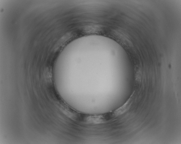 X0000074230179200609081630