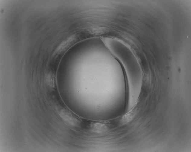 X0000074230180200609081630