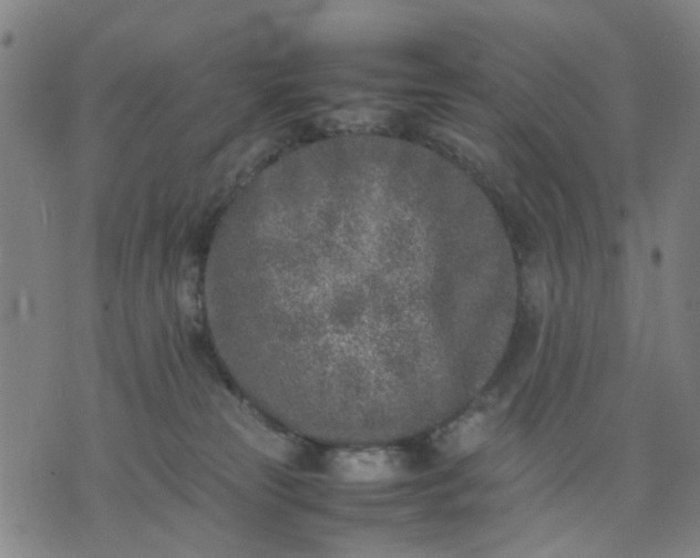 X0000074230181200609081630