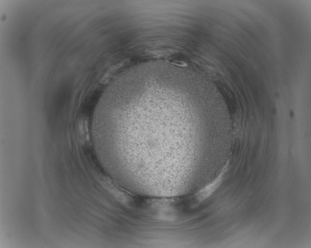 X0000074230182200609081630