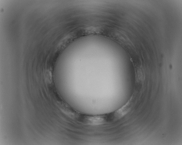 X0000074230183200609081630