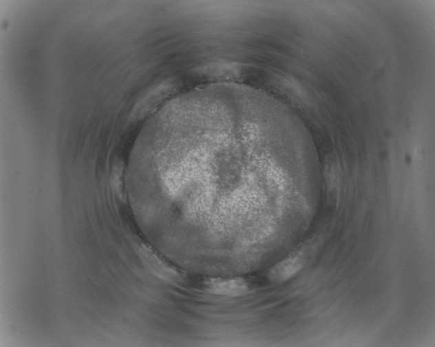 X0000074230185200609081630