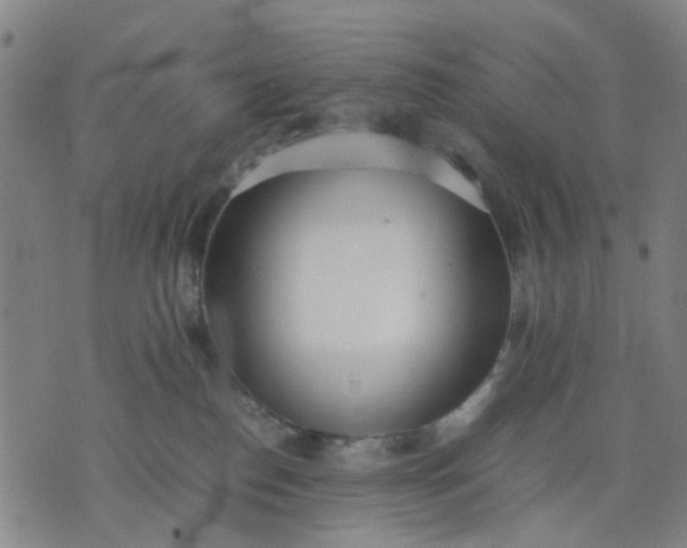 X0000074230186200609081630