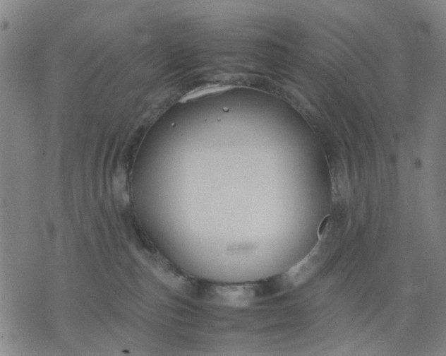 X0000074230187200609081630