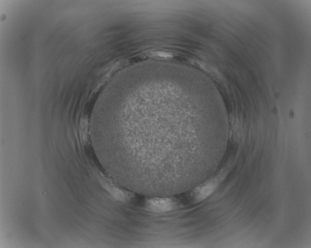 X0000074230189200609081630