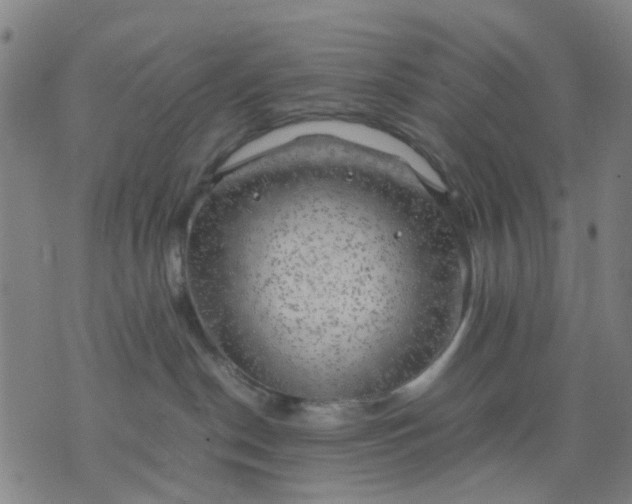 X0000074230190200609081630