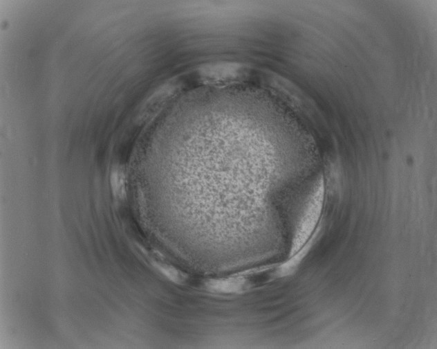 X0000074230191200609081630