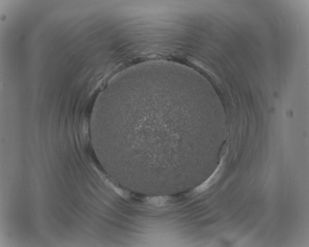 X0000074230192200609081630