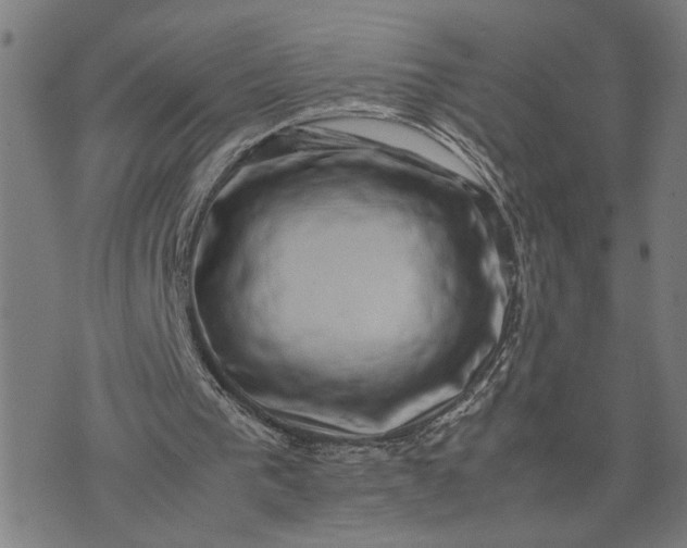 X0000074230193200609081629