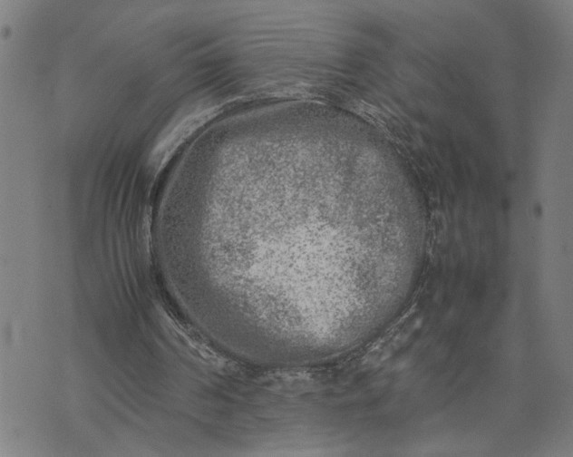 X0000074230194200609081629