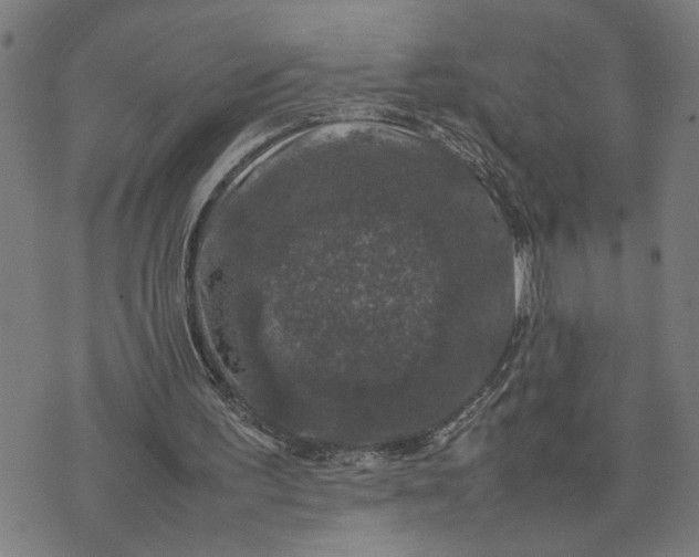 X0000074230195200609081629