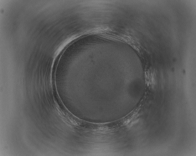 X0000074230196200609081629