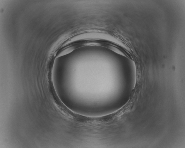 X0000074230197200609081629