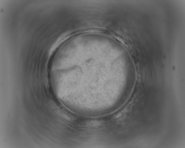 X0000074230198200609081629