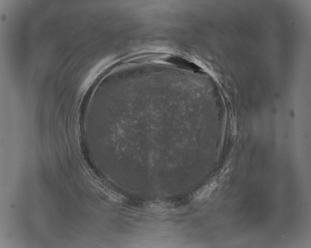 X0000074230199200609081629