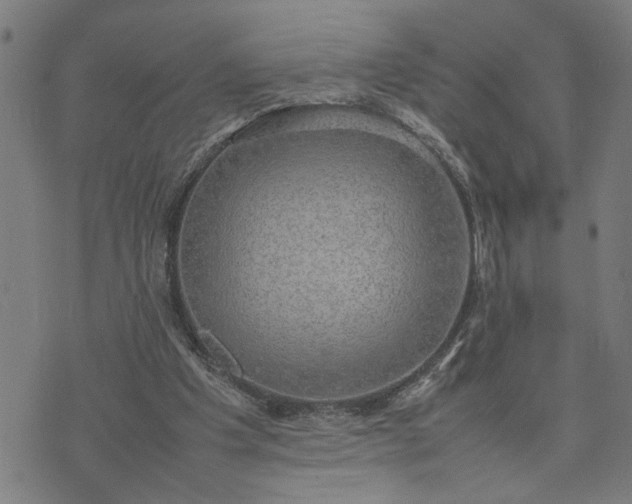 X0000074230201200609081629