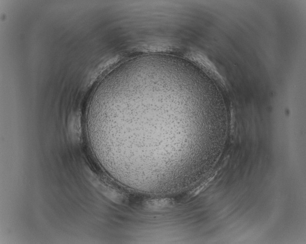 X0000074230202200609081629