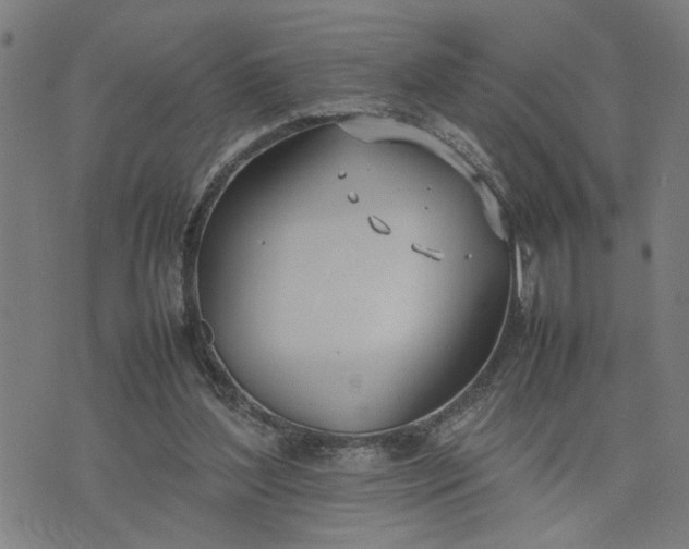 X0000074230204200609081629