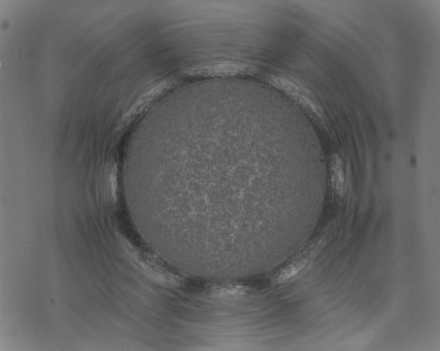 X0000074230206200609081629