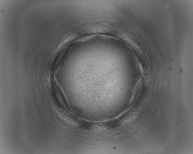 X0000074230207200609081629