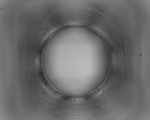 X0000074230208200609081629