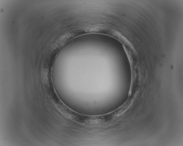 X0000074230209200609081629