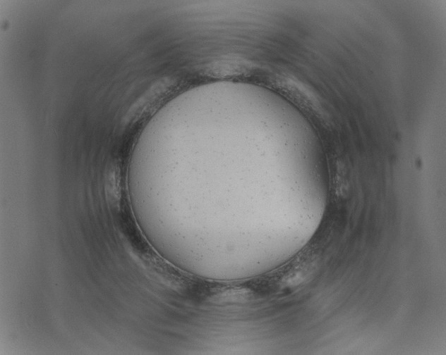 X0000074230210200609081629