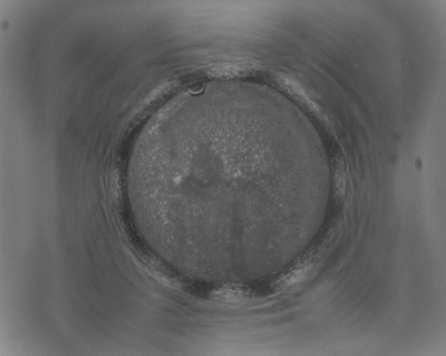 X0000074230211200609081629