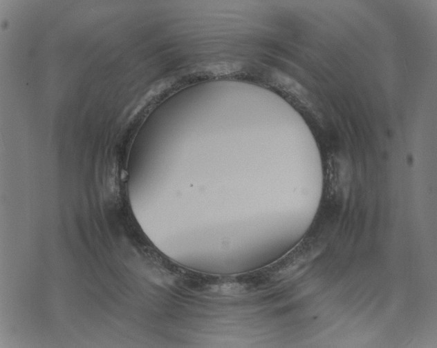 X0000074230212200609081629