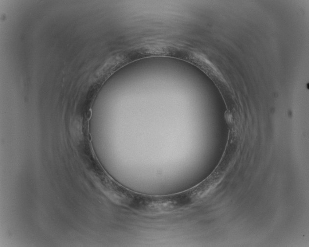 X0000074230213200609081629