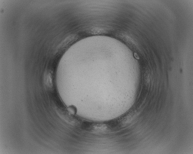 X0000074230214200609081629