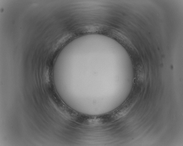 X0000074230216200609081629