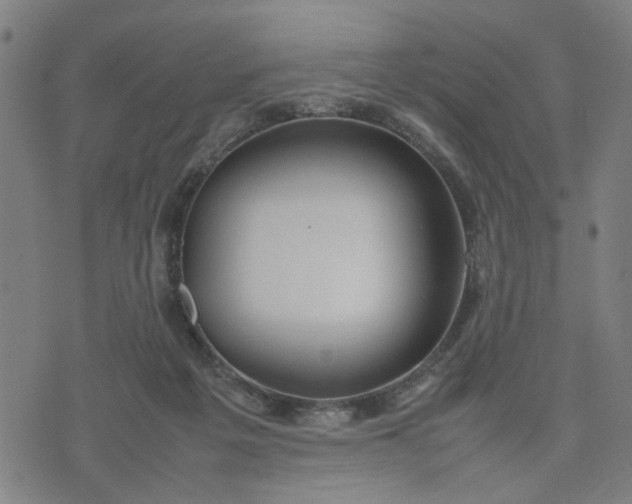 X0000074230217200609081629