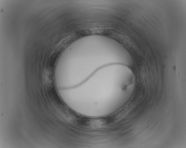 X0000074230218200609081629