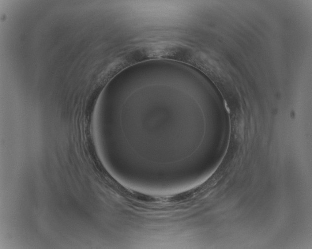 X0000074230219200609081629