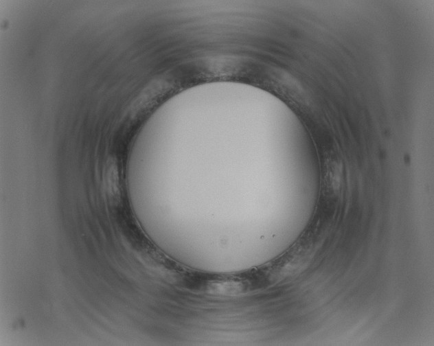 X0000074230220200609081629