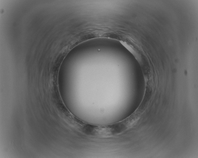 X0000074230221200609081629