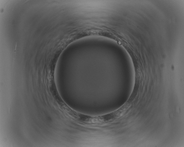 X0000074230223200609081629