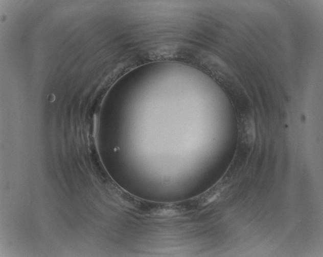 X0000074230224200609081629