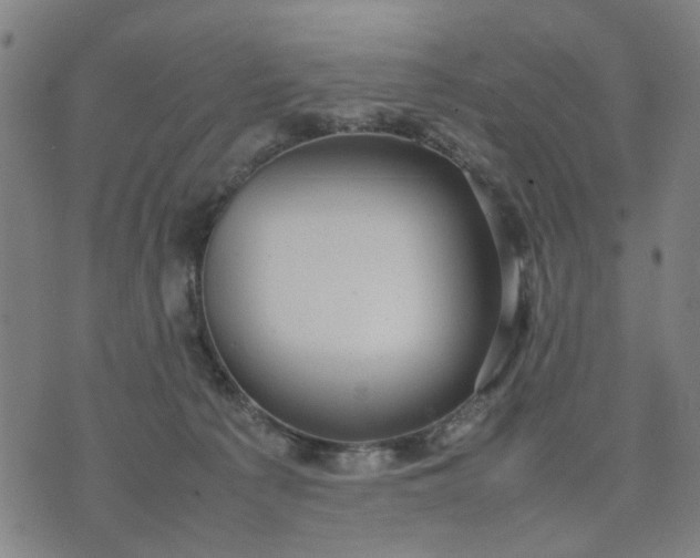 X0000074230225200609081629