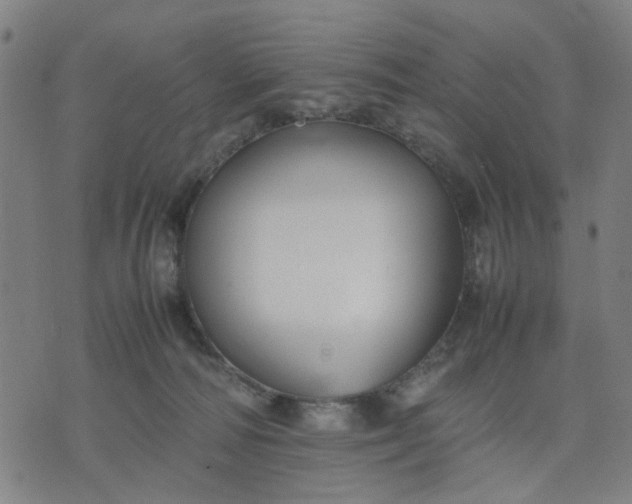 X0000074230226200609081629