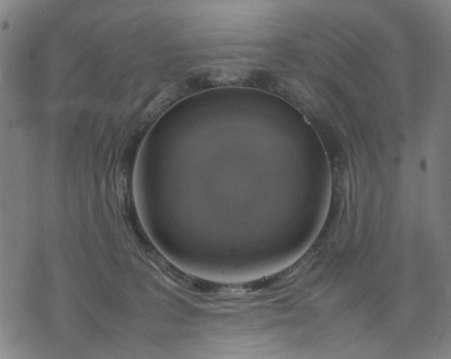 X0000074230227200609081629