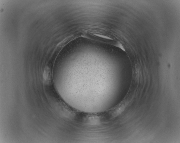 X0000074230228200609081629