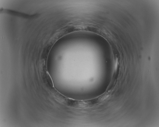 X0000074230229200609081629