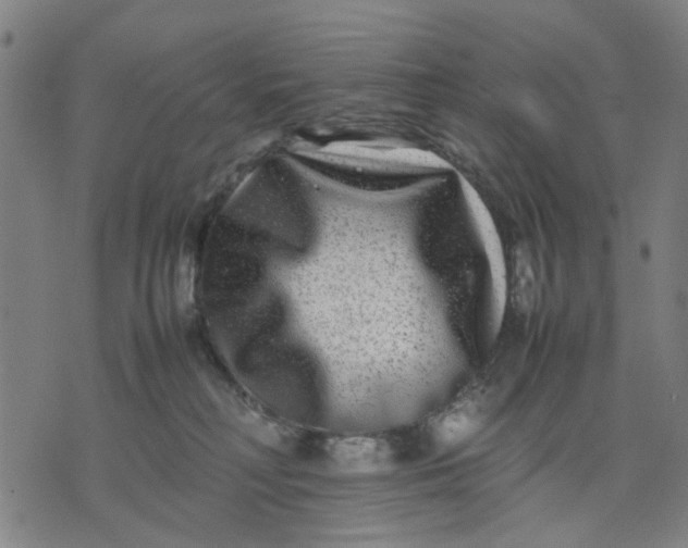 X0000074230230200609081629