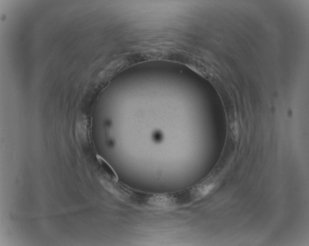 X0000074230231200609081629