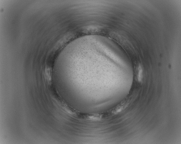 X0000074230232200609081629