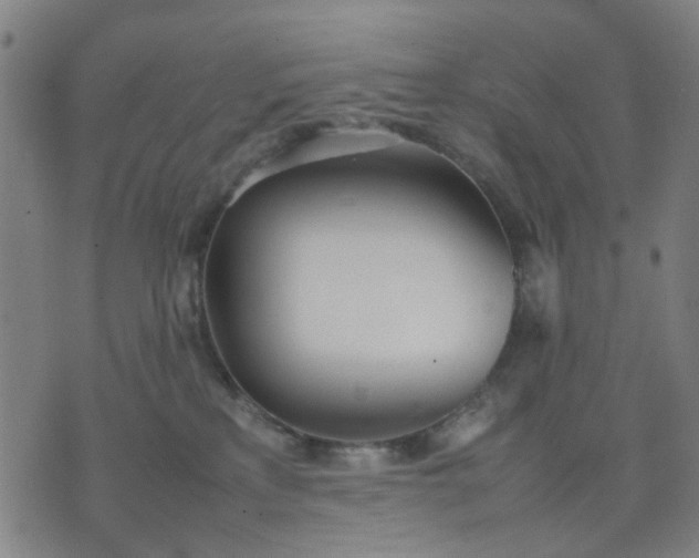 X0000074230233200609081629